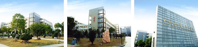 安徽国际商务职业学院(图2)