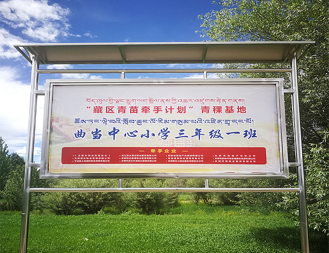 扶贫助农 挽手筑梦(图4)
