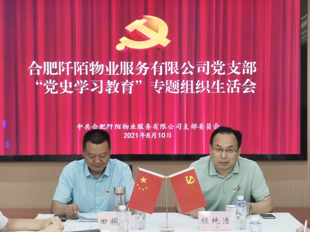 阡陌物业党支部召开“党史学习教育” 专题组织生活会(图2)